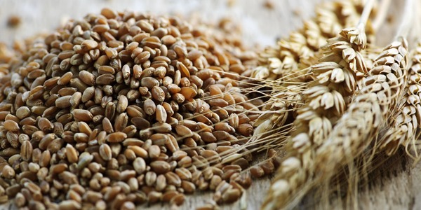 Los cereales integrales contribuyen a la salud del corazón