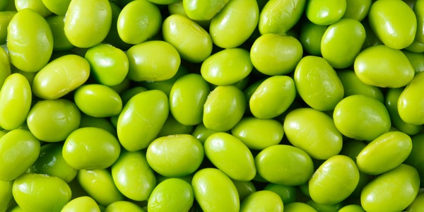 ¿Estrés, ansiedad o insomnio? Descubre cómo un alimento puede ayudar a tu sistema nervioso