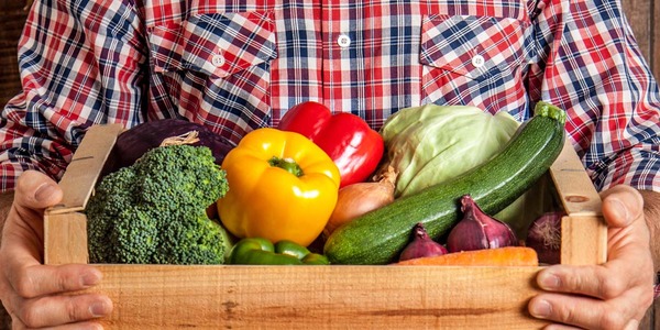 Alimentos para las Infecciones